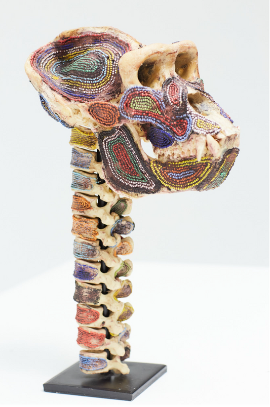 Nkawu- Beaded Monkey Skull (Replica)