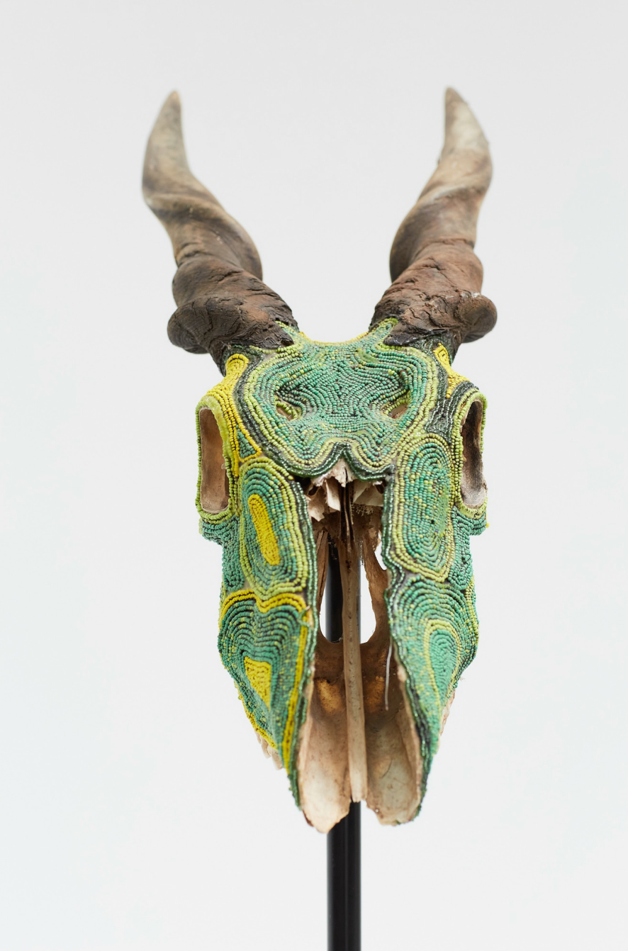 Impfu- Beaded Eland Skull