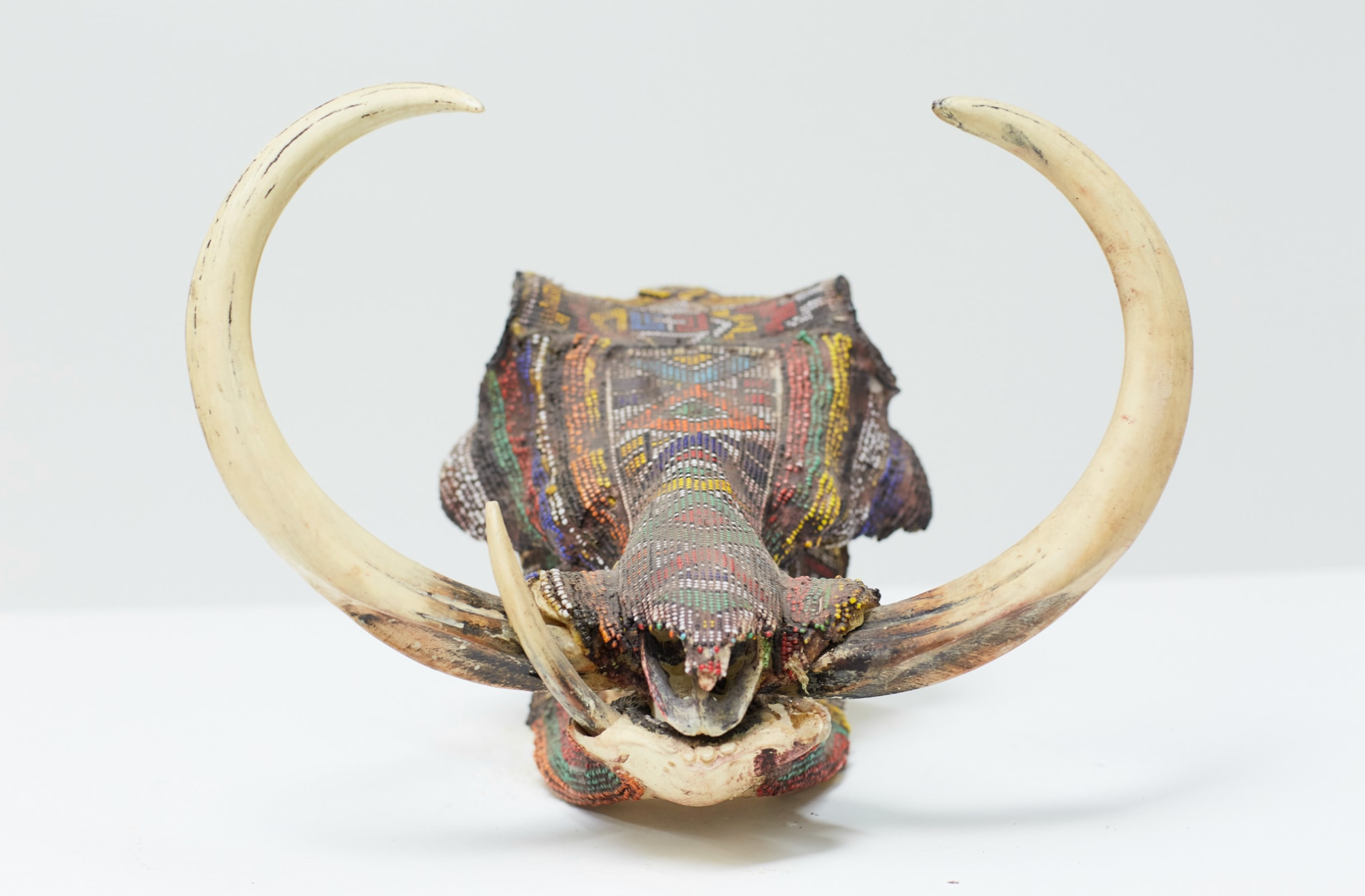 Beaded Warthog Skull (Replica)