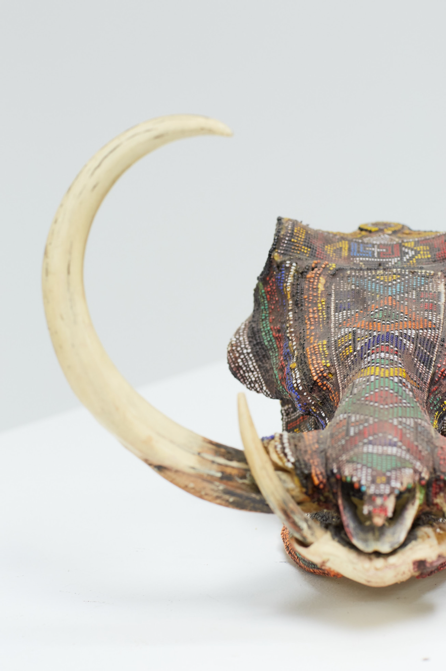 Beaded Warthog Skull (Replica)