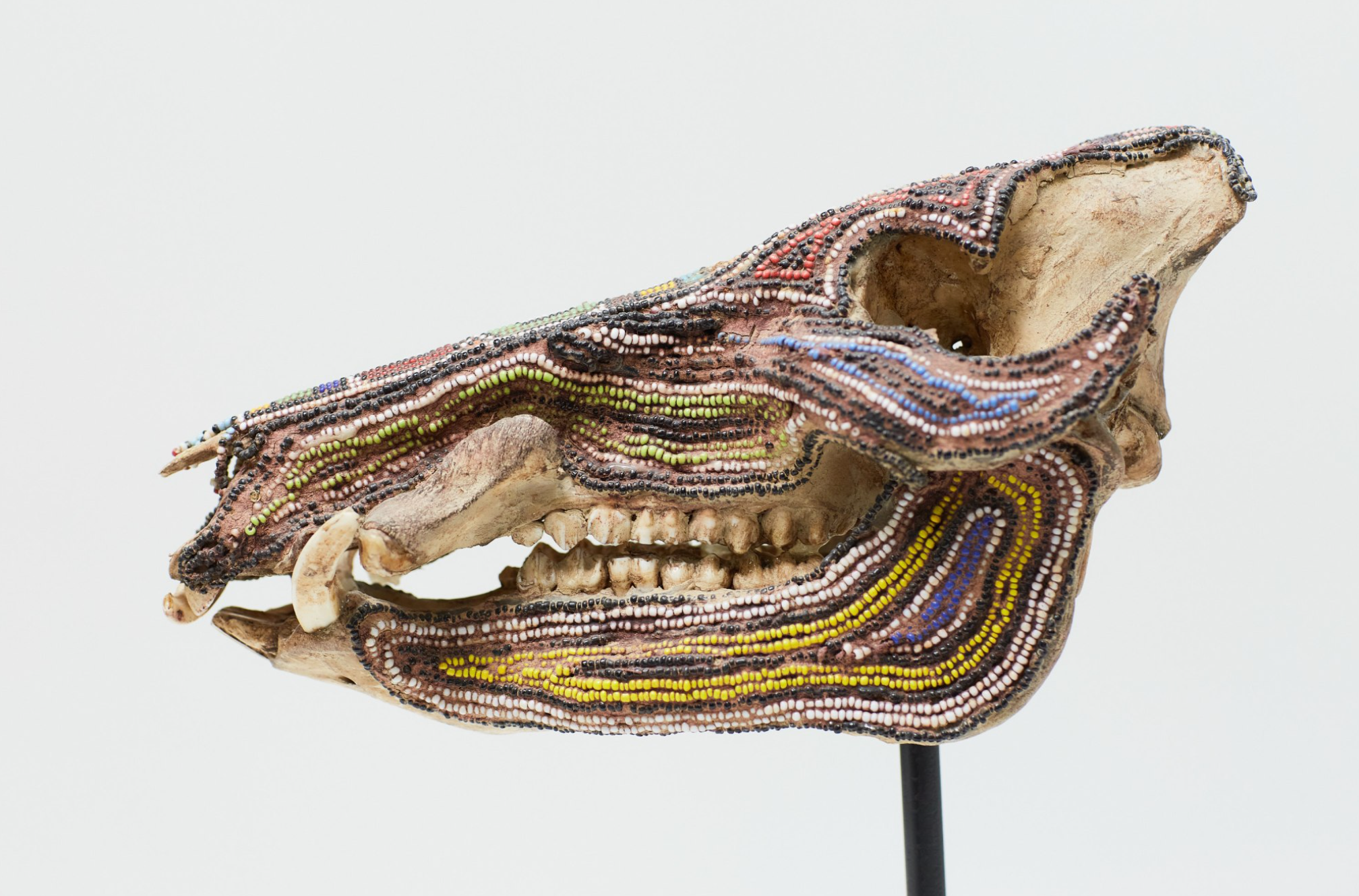 Beaded Warthog Skull (Replica)